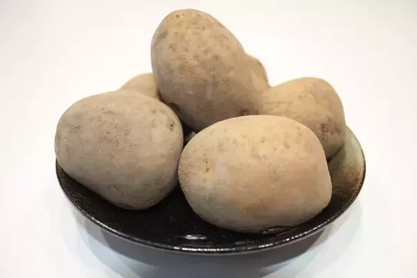 「湖池屋が「日本のテロワールでつくる究極のポテトチップス」に挑戦する理由。「KOIKEYA FARM」プロジェクトを始動　～じゃがいも調達・農家の協力編～」の画像