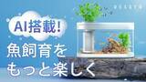 「AI知能搭載でスマホがあれば手軽に水槽管理！シンプルさを極める水陸両用卓上水槽」の画像1