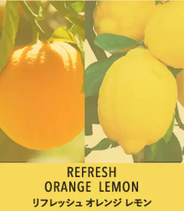 国産フルーツ素材にこだわった製品づくりを続ける『フルーツルーツ』がブランドリニューアル！日本中のサステナブルな素材で、世界中に彩りを届けることを目指して。