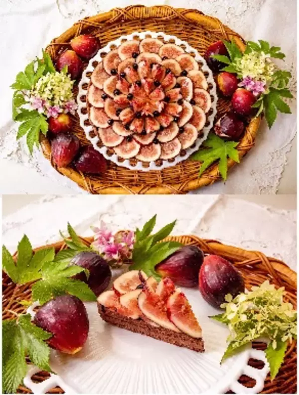 【川西市】兵庫県川西特産のいちじく「朝採りの恵み」のブランド化を応援