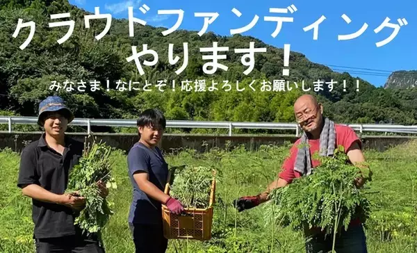 【天草モリンガファーム】モリンガの生葉で機能性表示食品を開発したい！初のクラウドファンディングで新たな挑戦！
