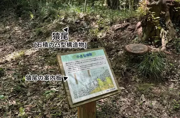 【兵庫教育大学】滋賀県東近江市で伝統的な治水施設「猿尾（さるお）」を再発見！