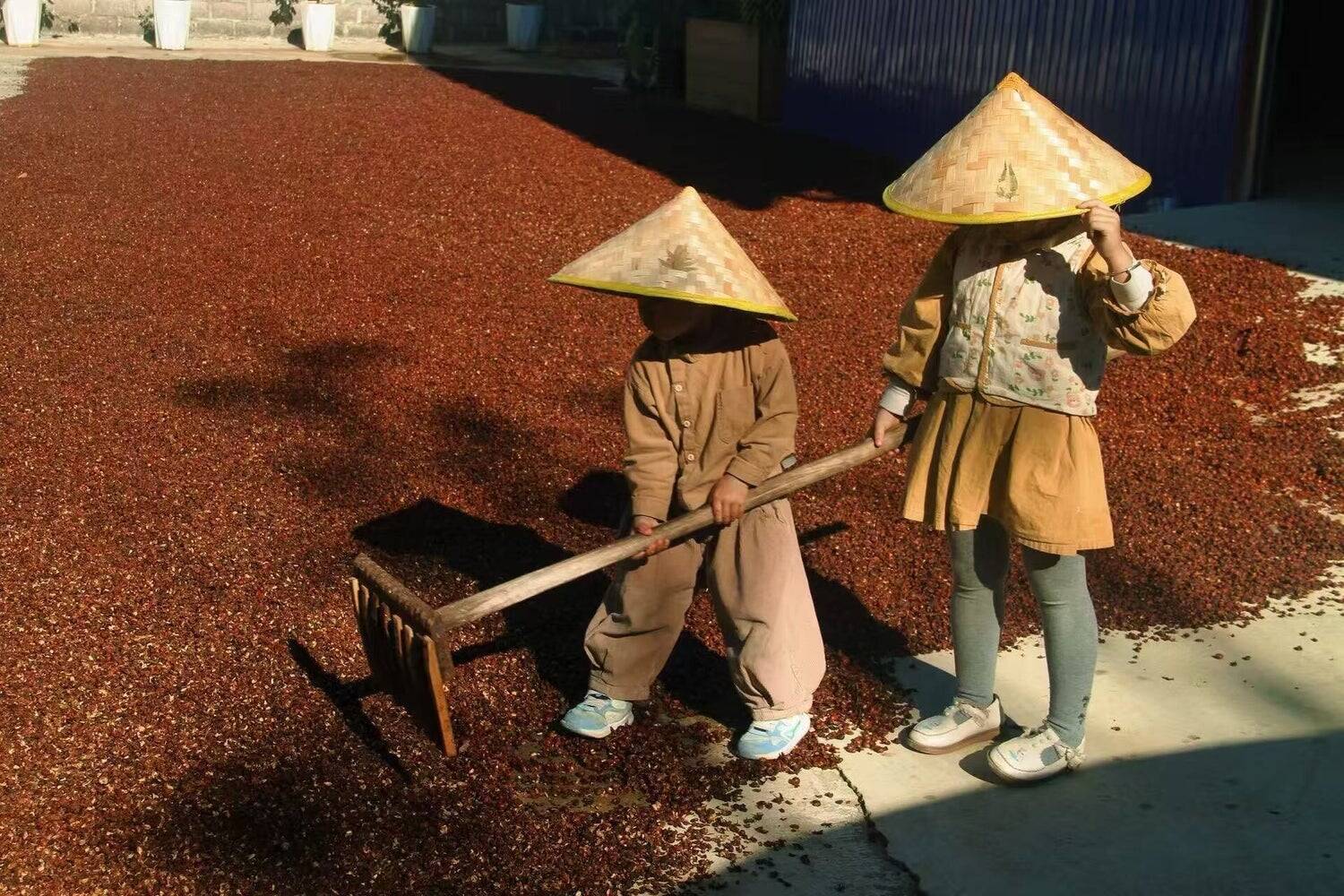 「これ、本当にコーヒーですか？」醸造珈琲という新しいかたち