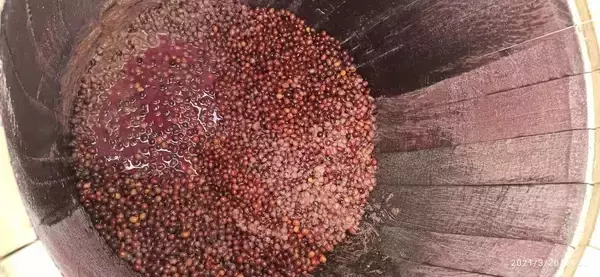 「「これ、本当にコーヒーですか？」醸造珈琲という新しいかたち」の画像