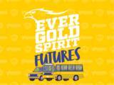 「ベガルタ仙台クラウドファンディング　EVER GOLD SPIRIT FUTURES、本日18:00よりプロジェクト開始！SNSタイムラインジャックも同時実施！」の画像1