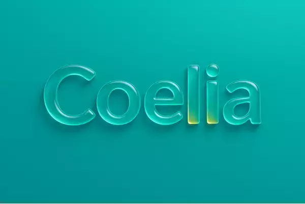 【日本初】Z世代に特化した“友達づくり＆社会人になってからも自然につながれる”コミュニティ横断型プラットフォーム「Coelia（コエリア）」誕生！12月よりシリーズイベントを順次スタート！