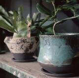 「器は「暮らしと土地をつなぐメディア」。信楽焼ブランド「PLUS GARDEN」窯元が挑む体験型発信拠点「かまーとの森」」の画像17