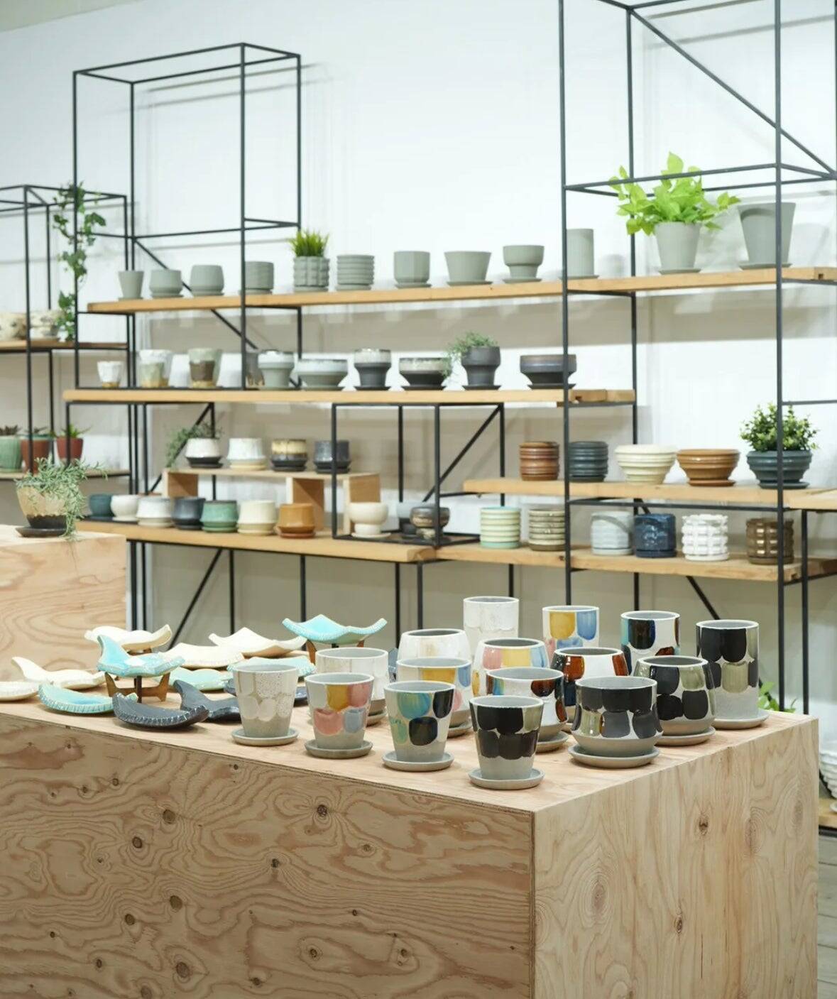 器は「暮らしと土地をつなぐメディア」。信楽焼ブランド「PLUS GARDEN」窯元が挑む体験型発信拠点「かまーとの森」