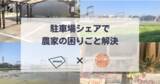 「akippaが「農家支援」として農業体験参加者への駐車場貸し出しや野菜販売スペースの提供をおこなう実証実験を6月26日より開始！～第一弾として大阪府八尾市の「河内物語 服部農園」と連携～」の画像1
