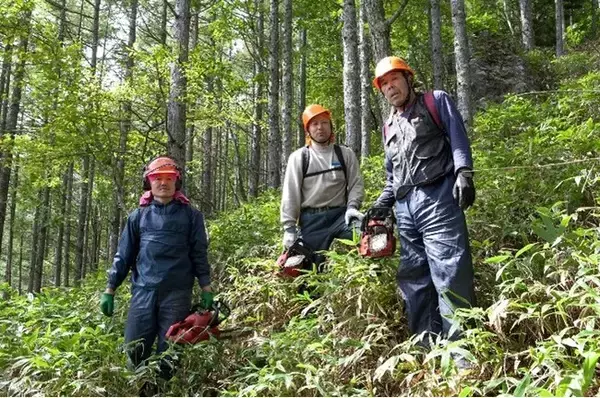 徳島県美馬市とつるぎ町、やましごと工房が連携し、森林環境税を活用した森林整備事業の発注を開始