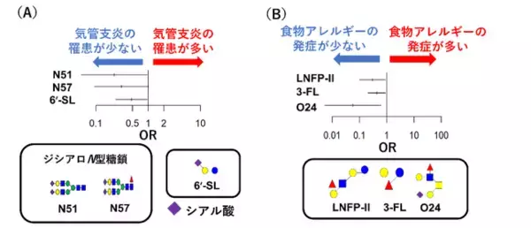 母乳に含まれる特定の糖鎖が乳児の感染症・アレルギーと関連する可能性を確認