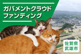 「佐賀県武雄市ふるさと納税で「地域猫活動」と「治水対策」助成のため、ガバメントクラウドファンディングを開始いたしました。」の画像1
