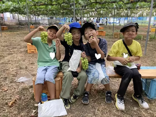 【こどもの休日の過ごし方】秋の高級食材・シャインマスカットを収穫しよう！秋の１dayキャンプ～シャインマスカット狩り＆うどん作り＆マス釣り編～