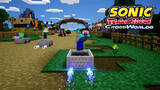 「『ソニックレーシング クロスワールド』 有償DLC第1弾『マインクラフト』配信開始！」の画像1