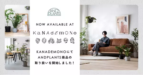 AND PLANTS（アンドプランツ）、パーソナライズ家具ブランド「KANADEMONO」と協業。家具と調和する観葉植物のコーディネート提案を開始
