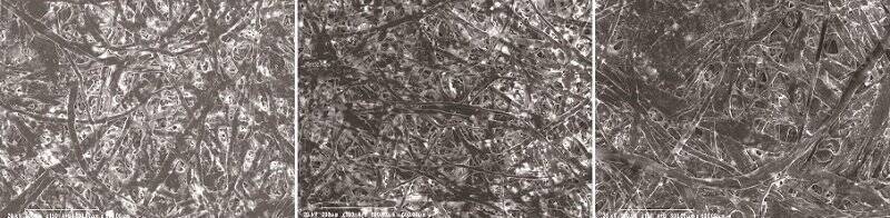 「3種類の書き心地」をデザインしたコクヨのシリーズ「PERPANEP（ペルパネプ）」から新たに誕生した「ドイツ装ノート」の開発ストーリー