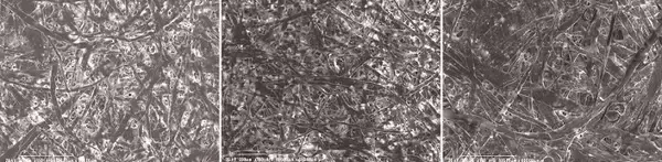 「「3種類の書き心地」をデザインしたコクヨのシリーズ「PERPANEP（ペルパネプ）」から新たに誕生した「ドイツ装ノート」の開発ストーリー」の画像