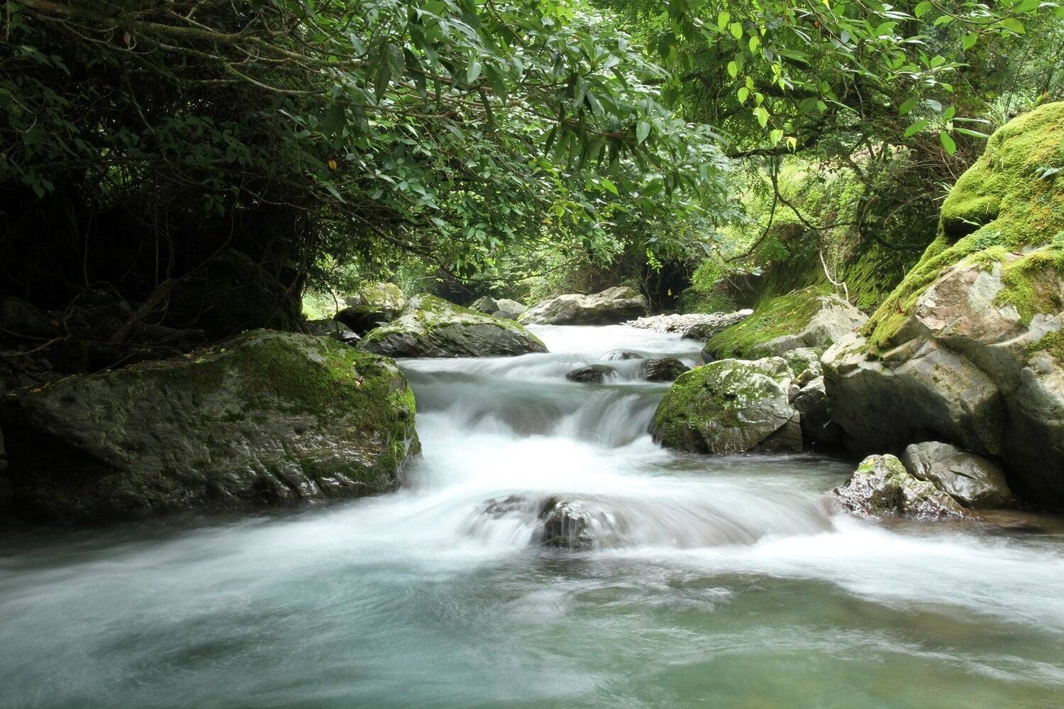 30年以上の歳月と熟成のプロが辿り着いた「黄金比」。3種の熟成酒が織りなす「奇跡の梅酒」誕生の裏側