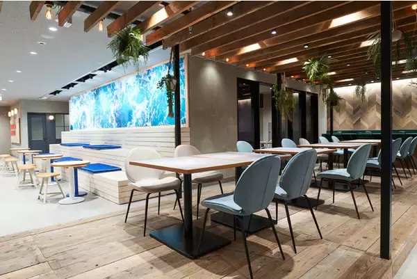 渋谷にビーチ！？コワーキングスペースオープン記念！先着100名様限定の入会金＆会費3ヶ月分無料キャンペーンを実施します。