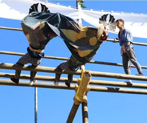 愛知県無形民俗文化財「朝倉の梯子獅子」が３年ぶりに奉納されます