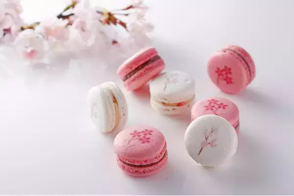 3000本の桜が舞う、大阪城公園を“お庭”に春を味わう『桜スイーツ』