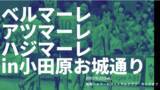 「新体制発表及びキックオフパレード《ベルマーレ アツマーレ ハジマーレ》開催！」の画像1