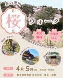 「里山の桜を歩いて楽しむ「春の黒川 桜ウォーク」開催（兵庫・川西）」の画像1
