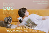 「ロぺピクニックがロンドン発のライフスタイルマガジン「DOG MAGAZINE」と初コラボレーション。DOGフォト T シャツとトートバッグが登場。」の画像1