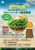 「茨城県産レタスを使用した限定商品を県内の店舗で販売『Lucky MOS Festa　～モスの産直レタス祭り～』茨城県にて開催」の画像1