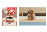 「サンコーのペットケアブランド「Sanko Pet」から新パッケージ＆選べる全13色の吸着マットが新登場」の画像1