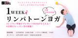 「女性のウェルネスを応援するハリウッドがサポート！ピンクリボン企画「1weekリンパトーンヨガ」11/30 六本木ヒルズでリアル体験会からスタート」の画像1