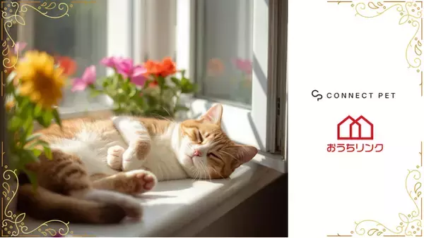 【オープンハウスグループ】おうちリンク、2月22日「猫の日」より保護猫と豊かに暮らせる社会貢献型インフラサービスを開始