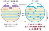 「顔より先に年齢が出る？ 見落としがちな「手・首・ひじ」の乾燥に注目今あらためて注目したい「医療グレードグリセリン」という保湿成分」の画像4