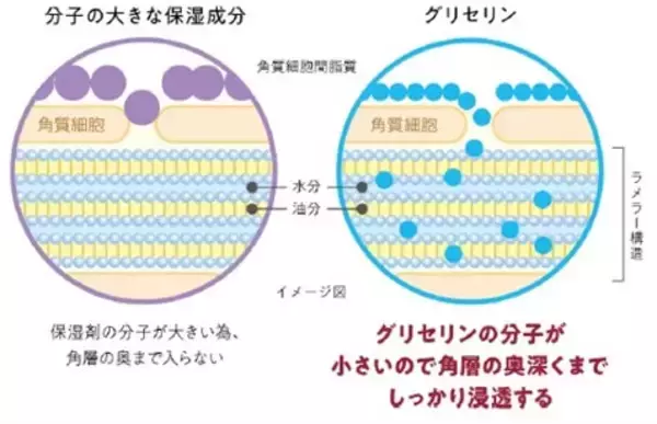 「顔より先に年齢が出る？ 見落としがちな「手・首・ひじ」の乾燥に注目今あらためて注目したい「医療グレードグリセリン」という保湿成分」の画像