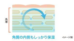 顔より先に年齢が出る？ 見落としがちな「手・首・ひじ」の乾燥に注目今あらためて注目したい「医療グレードグリセリン」という保湿成分