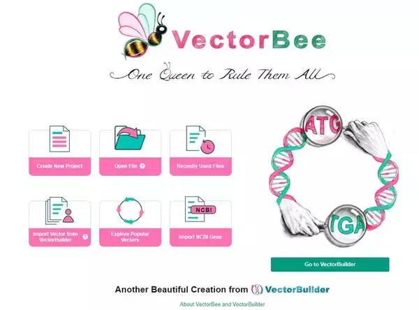 「VectorBuilderが提供する“完全無料”のベクターデザイン＆シークエンス解析ソフト「VectorBee」が変える、遺伝子研究の新しいワークフロー」の画像