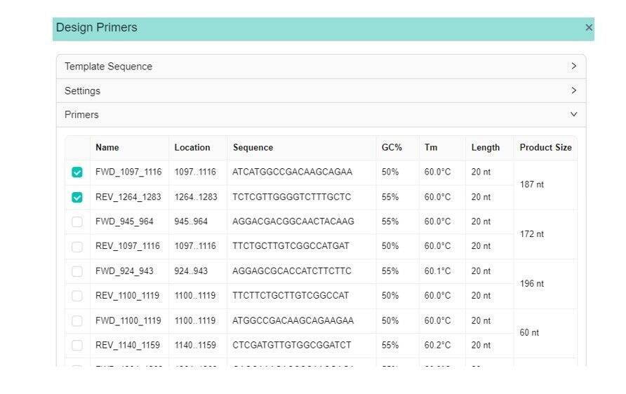 VectorBuilderが提供する“完全無料”のベクターデザイン＆シークエンス解析ソフト「VectorBee」が変える、遺伝子研究の新しいワークフロー