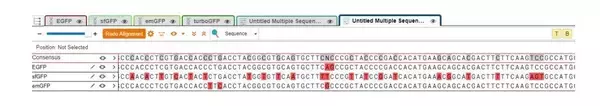 「VectorBuilderが提供する“完全無料”のベクターデザイン＆シークエンス解析ソフト「VectorBee」が変える、遺伝子研究の新しいワークフロー」の画像