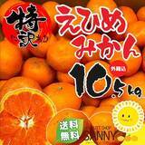 「＜Qoo10 「柑橘類」販売数ランキング＞みかんの季節到来！今年は甘く、濃厚な味わい！たっぷり楽しめる“大容量”が人気」の画像1