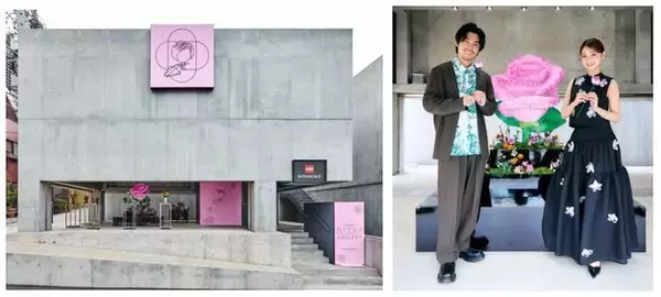 レゴ(R)ブロックで組み立てた巨大なピンクローズも登場 レゴ(R)ボタニカル製品に「花言葉」のメッセージ込めた6種類のブーケアレンジを特別展示 原宿が春色に染まる「レゴ(R)ボタニカル ブルームギャラリー」開催