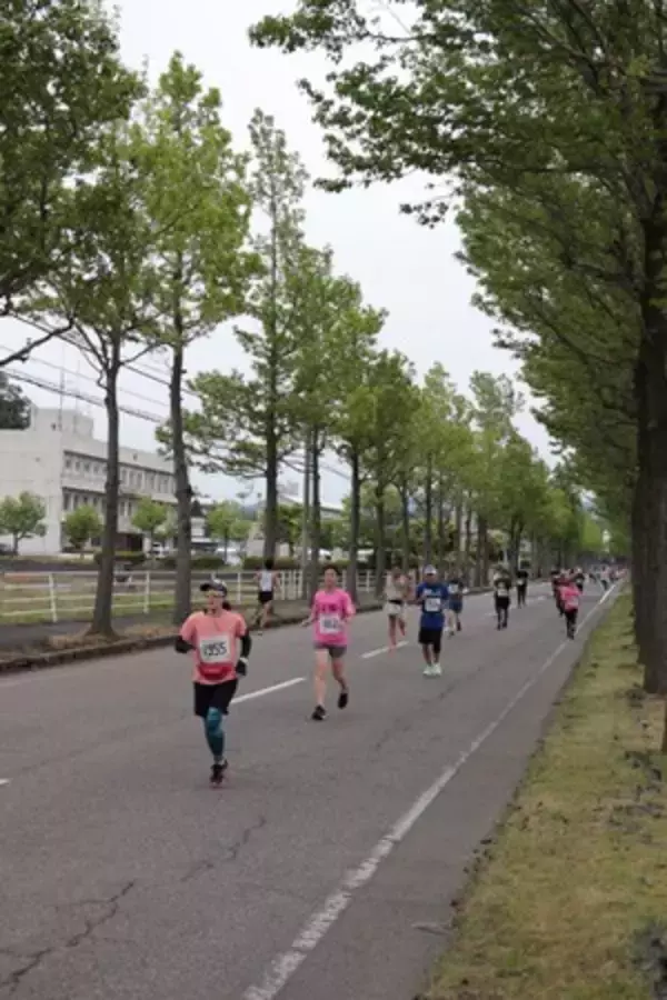 第22回あわら市トリムマラソン 参加者募集中！春のあわらを駆け抜けよう！