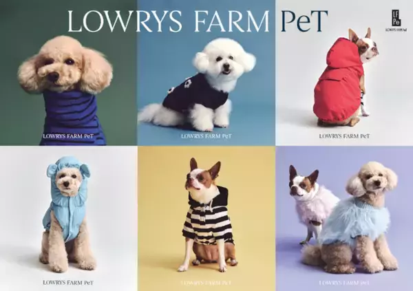 LOWRYS FARM“初”のペットカテゴリーに特化した協業ライン「LOWRYS FARM PeT」の『PETEMO』限定コレクションを発売