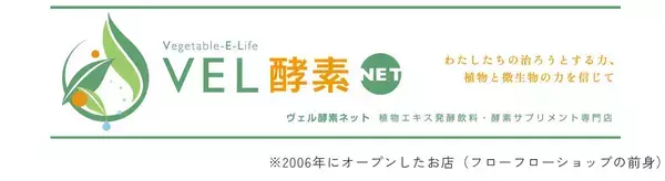 「足すのをやめたら、大切なものの輪郭が見えた──「流れていれば、大丈夫」にたどり着くまでの20年」の画像