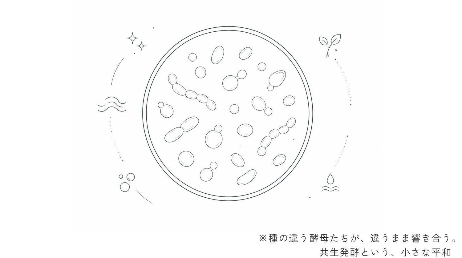 足すのをやめたら、大切なものの輪郭が見えた──「流れていれば、大丈夫」にたどり着くまでの20年