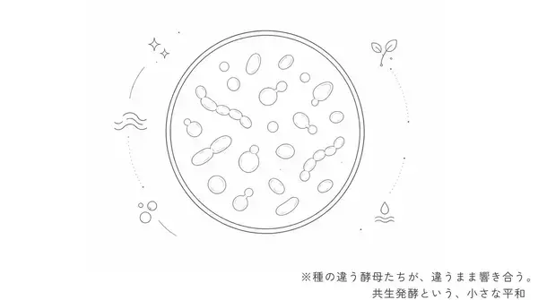 「足すのをやめたら、大切なものの輪郭が見えた──「流れていれば、大丈夫」にたどり着くまでの20年」の画像