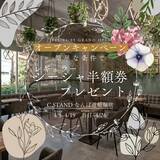 「【なんば道頓堀シーシャ新スポット誕生！】C.STANDなんば道頓堀店が4月5日オープン！40円から楽しめるドリンク＆シーシャ体験」の画像1