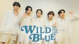「WILD BLUE初の全国ツアーファイナル公演をU-NEXTにて独占ライブ配信！SNSで同時視聴企画開催決定！」の画像1