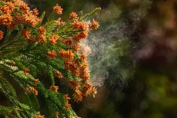 ■【現代男性が陥る「花粉症負け」とは？】男性６割が自覚「花粉薬で鼻水・かゆみは抑えても、“外見ダメージ“は残る（57.5%）」　～　花粉症による "外見悪化” で「自信喪失（＝花粉症負け）」する男性も