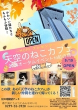 【大反響】あの空の上の猫カフェが帰ってくる！『天空のねこカフェ』第2弾、新たな仲間とともに9/19(土)OPEN！