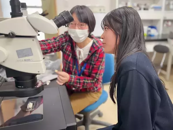 「注射に代わるマイクロニードルは「痛くない」だけなのか？高校二年生が探求した「やさしい医療」」の画像